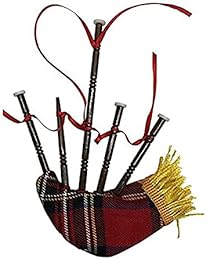 Amazon.co.jp: バグパイプ - フォーク・トラディショナル吹奏楽器